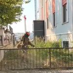 Muhtar Gülmez,yüzleri güldürmeye devam ediyor