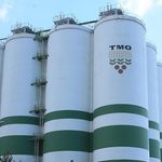 Sakarya’da TMO Fındık Alımlarına Kalite Engeli