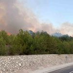 Adana'daki orman yangını kontrol altında
