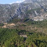 Akseki'deki orman yangını kontrol altına alındı