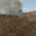 Bingöl'de anız yangını kontrol altına alındı