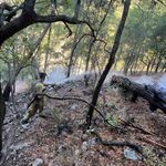Gece başlayan yangın sabah saatlerinde kontrol altına alındı