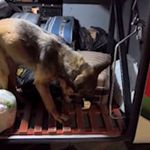 Kayseri'de yolcu otobüsü operasyonu: 3 kilo 420 gram uyuşturucuyla yakalanan 2 şüpheli tutuklandı