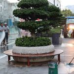 Marmaris Sevgi Yolu'nda temizlik çalışması