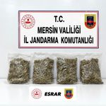 Mersin'de uyuşturucu operasyonu: 2 gözaltı