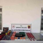 Şırnak'ta jandarmadan kaçakçılık operasyonu