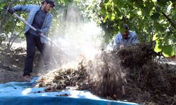 Mevsimlik tarım işçileri fındık mesaisine hazırlanıyor