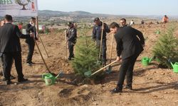 Çanakkale'nin ilçelerinde fidanlar toprakla buluşturuldu