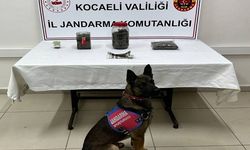 Kocaeli'de 1 kilo 500 gram esrarın ele geçirildiği operasyonda 1 zanlı yakalandı