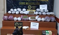 Sakarya'da durdurulan tırda 19 kilo 160 gram uyuşturucu ele geçirildi