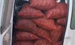 Samsun’da kaçak 20 çuval kara kıllı midye ele geçirildi