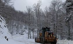Bursa'da karla mücadele çalışmaları sürüyor