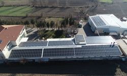 Kırklareli'nde süt işletmesi elektriğini güneşten üretiyor