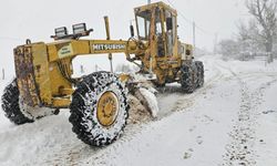 Sakarya'da kar nedeniyle kapanan 32 grup yolu ulaşıma açıldı