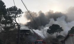 Beykoz'da depoda çıkan yangına müdahale ediliyor