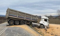 Sakarya'da tarlaya devrilen kamyonun sürücüsü yaralandı