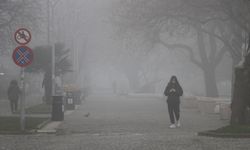 Yalova'da sis etkili oldu