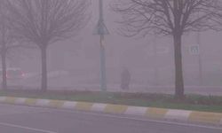 Pendik’te kartpostallık sis manzarası mest etti