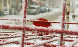Sibirya soğukları Ardahan’ı dondurdu
