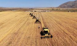 Tarımsal girdi fiyat endeksi yıllık yüzde 41,43 arttı
