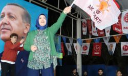AK Parti Sakarya Milletvekili Erdoğan, Söğütlü'de vatandaşlarla buluştu
