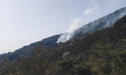 Balıkesir'de Kazdağları eteklerinde çıkan orman yangını söndürüldü