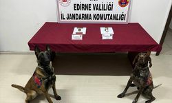 Edirne'de otomobilinde uyuşturucu bulunan şüpheli gözaltına alındı