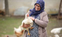 Istranca Dağları eteklerindeki köylerde kadınlar tarım hayvancılıkla uğraşarak üretime katkı sunuyor
