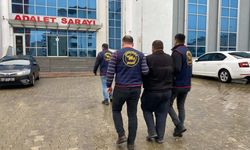 Edirne'de izinsiz kenevir ekimi suçundan aranan zanlı gözaltına alındı