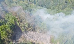 Sakarya'da çıkan yangında 5 dönüm ormanlık alan zarar gördü