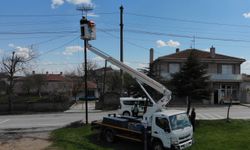 Trakya'da göçmen kuşların akıma kapılmaması için elektrik direklerine özel platformlar yapıldı