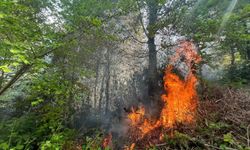 İhmalkarlığın böylesi! 5 dönüm ormanı yaktı