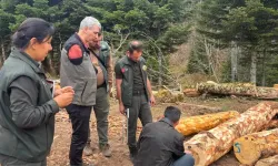 Aksu Orman İşletme Şefliğinde Öncü Çalışma