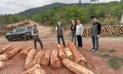 Sakarya Orman Müdürü Terzi'den Üretim Sahalarına Denetim