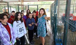 Çiftlikköy'de öğrenciler İngilizce dersini barınakta işledi