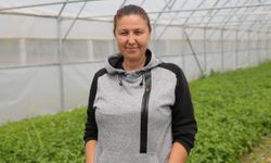 Edirne'de kadın üreticiler ekim alanlarını büyütüp sera sahibi oldu