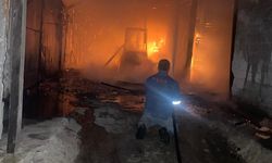 Kırklareli'nde ağaç işleme tesisinde çıkan yangın söndürüldü