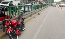 Kocaeli'de araçla çarpışan motosikletin sürücüsü yaralandı