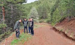 Erzurum Orman Bölge Müdürü Ayatay, Refahiye ormanlarında incelemelerde bulundu