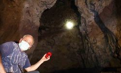 Korku filmlerini aratmayan mağara, binlerce yarasaya ev sahipliği yapıyor