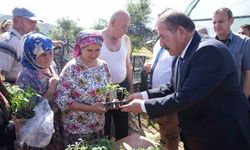 Milas Belediyesi’nden üreticilere ata tohumdan üretilen fide desteği