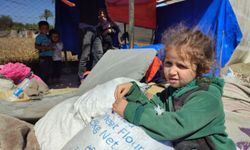 Refah’tan zorla yerinden edilen Filistinliler çadır kampları kuruyor