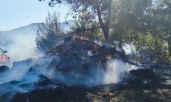 Balıkesir'de kırsal alanlarda çıkan yangınlara müdahale ediliyor