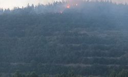 Balıkesir'in Susurluk ilçesinde orman yangını başladı