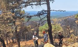 Bursa'da çıkan orman yangınında 96 hektar ormanlık alan zarar gördü