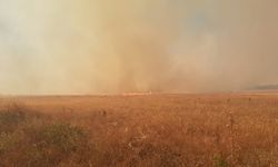 Çanakkale'de tarım arazisinde çıkan yangına müdahale ediliyor