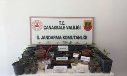 Çanakkale'de uyuşturucu operasyonunda gözaltına alınan 10 zanlı tutuklandı