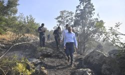 Edirne Valisi Sezer, Lalapaşa'da yangından etkilenen ormanlık alanda inceleme yaptı