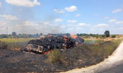 Edirne'de anız alanından ormana sıçrayan yangın söndürüldü