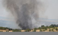 Edirne'de buğday tarlaları ve ormana sıçrayan yangın söndürüldü